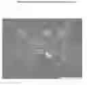 Fig. 01 - MICROFIBRILLATED CELLULOSE