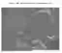 Fig. 02 - MICROFIBRILLATED CELLULOSE