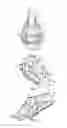 Fig. 05 - Bucket for implement system having symmetrical tooth mounting members