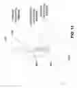 Fig. 12 - Intermediate scaffold joint