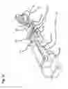 Fig. 02 - Door handle for vehicle