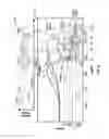 Fig. 25 - SURFACE MANAGEMENT OF DRILL STRING ROTATION FOR STICK-AND-SLIP REDUCTION