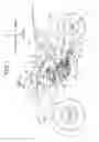 Fig. 02 - DOHC-type internal combustion engine