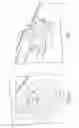 Fig. 06 - VEHICLE EXHAUST SYSTEM