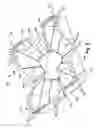 Fig. 09 - AIR FLOW HOOD