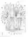 Fig. 09 - Clutch control device