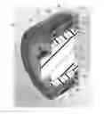 Fig. 01 - FLEX SPLINE FOR STRAIN WAVE GEAR DEVICE, AND STRAIN WAVE GEAR DEVICE USING SAME