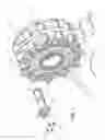 Fig. 02 - Roller gearing element