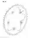Fig. 09 - CHAINRING