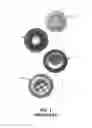 Fig. 02 - Valve plug assembly and seat ring for regulator