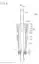 Fig. 10 - Valve core