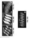 Fig. 09 - Lit image projection lamp and method