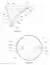 Fig. 23 - Hollow light guide luminaire
