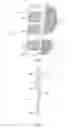 Fig. 02 - Reusable/Re-Adherable Portable Lighting Assembly