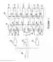 Fig. 02 - INFINITELY VARIABLE INJECTOR FOR IMPROVED SNCR PERFORMANCE