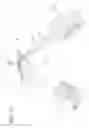 Fig. 09 - Encoded signal detection and display