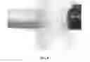 Fig. 09 - Biodegradable shotgun wad system