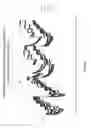 Fig. 03 - Magnesium sensing membrane for potentiometric ion selective electrode for measuring ionized magnesium and methods of production and use thereof