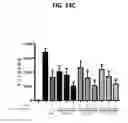 Fig. 45 - Modulators of the function of the core domain of annexins, and uses thereof in autoimmune and/or cancer therapy