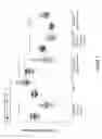 Fig. 02 - Markers for inflammatory bowel disease