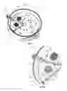 Fig. 16 - Adiabatic planar waveguide coupler transformer