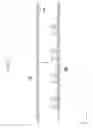 Fig. 18 - DISPLAY PANEL AND METHOD OF PRODUCING DISPLAY PANEL