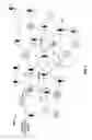 Fig. 06 - Method and system for abstracting information for use in link analysis