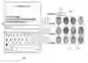 Fig. 01 - Terminal device and method for performing user authentication by means of biometric data