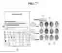 Fig. 06 - Terminal device and method for performing user authentication by means of biometric data