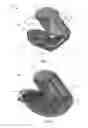 Fig. 06 - System and method of capturing and producing biometric-matching quality fingerprints and other types of dactylographic images with a mobile device