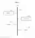 Fig. 12 - Liveness test method and apparatus