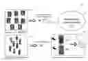 Fig. 01 - One shot color calibrated metric learning for object re-identification