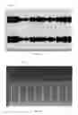 Fig. 06 - MODELING OF THE LATENT EMBEDDING OF MUSIC USING DEEP NEURAL NETWORK