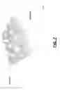 Fig. 08 - Methods, systems and apparatus for controlling movement of transporting devices