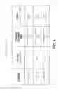 Fig. 07 - Systems and methods for selecting an ad campaign among advertising campaigns having multiple bid strategies