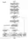 Fig. 33 - Browsing system, browsing method, and information processing apparatus