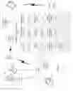Fig. 02 - Communications protocol based message identification transmission
