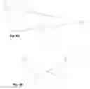 Fig. 06 - Motion imagery corner point sequencer