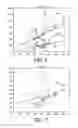 Fig. 07 - Vessel lumen sub-resolution segmentation