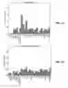 Fig. 08 - Quality measurement weighting of image objects