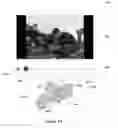 Fig. 15 - Systems and methods for creating and using navigable spatial overviews for video through video segmentation based on time metadata and camera orientation metadata