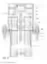 Fig. 10 - Control rod guide tube with an extended intermediate guide assembly