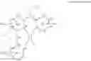 Fig. 80 - Tridentate cyclometalated metal complexes with six-membered coordination rings