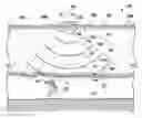Fig. 01 - Apparatus and methods for emergency mine communications using acoustic waves, time synchronization, and digital signal processing