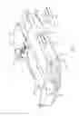 Fig. 08 - Acoustic assembly for an electronic device