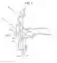 Fig. 02 - BINAURAL RECORDING SYSTEM AND EARPIECE SET