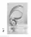 Fig. 08 - Micropropagation of Black Barhee date palm