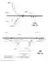 Fig. 09 - METHODS, SYSTEMS AND DEVICES TO PROVIDE PHYSICAL SECURITY TO WAVEGUIDES