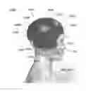 Fig. 32 - HELMET PADDING SYSTEM