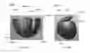 Fig. 55 - HELMET PADDING SYSTEM